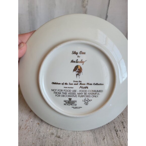 Native American shy one children of sun and moon vintage plate kitchen - Picture 5 of 6